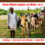 madhavashram bhopal (3) madhavashram bhopal (3)